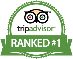 Main Street Inn & Suites ranked number one on trip advisor badge